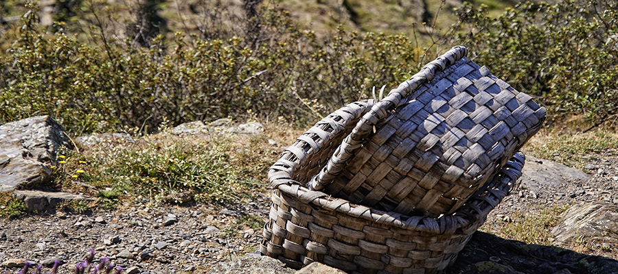 Descubre el municipio de Valero: naturaleza, tradición y apicultura en el corazón de la Sierra de Francia - Javier Prieto